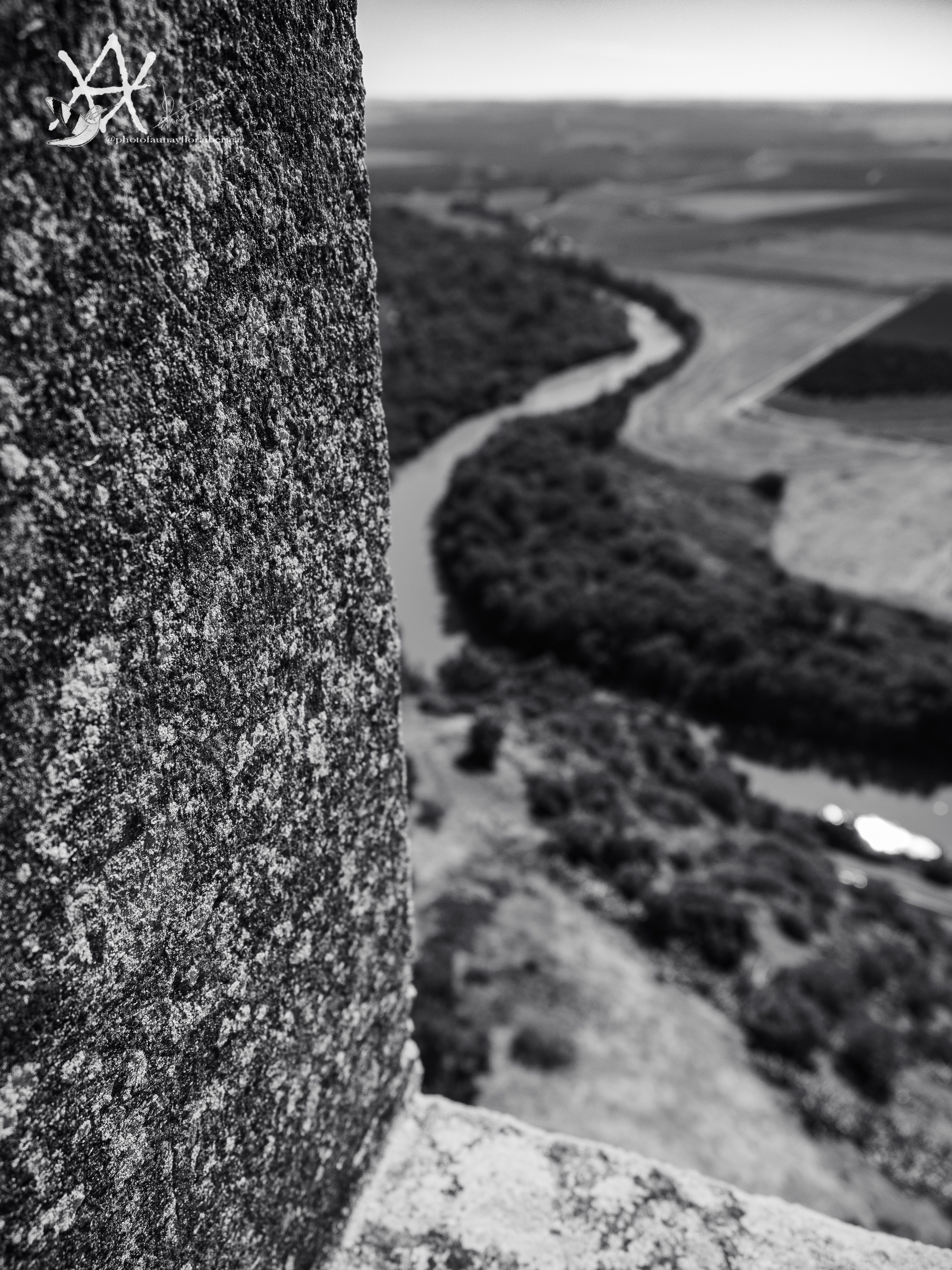 Guadalquivir desde castillo Almodovar